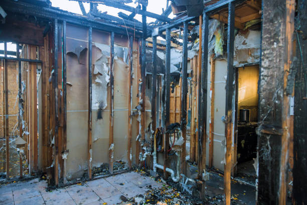 Professional Smoke Damage Removal technician working in Hamburg, MN