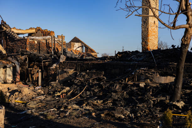 Reliable Smoke Damage Removal contractor in Hamburg, MN by Fire Damage Doption