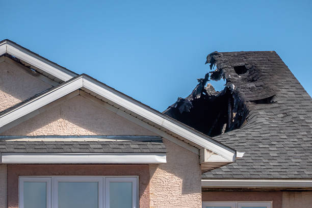 Top rated local Smoke Damage Removal specialists in Hamburg, MN